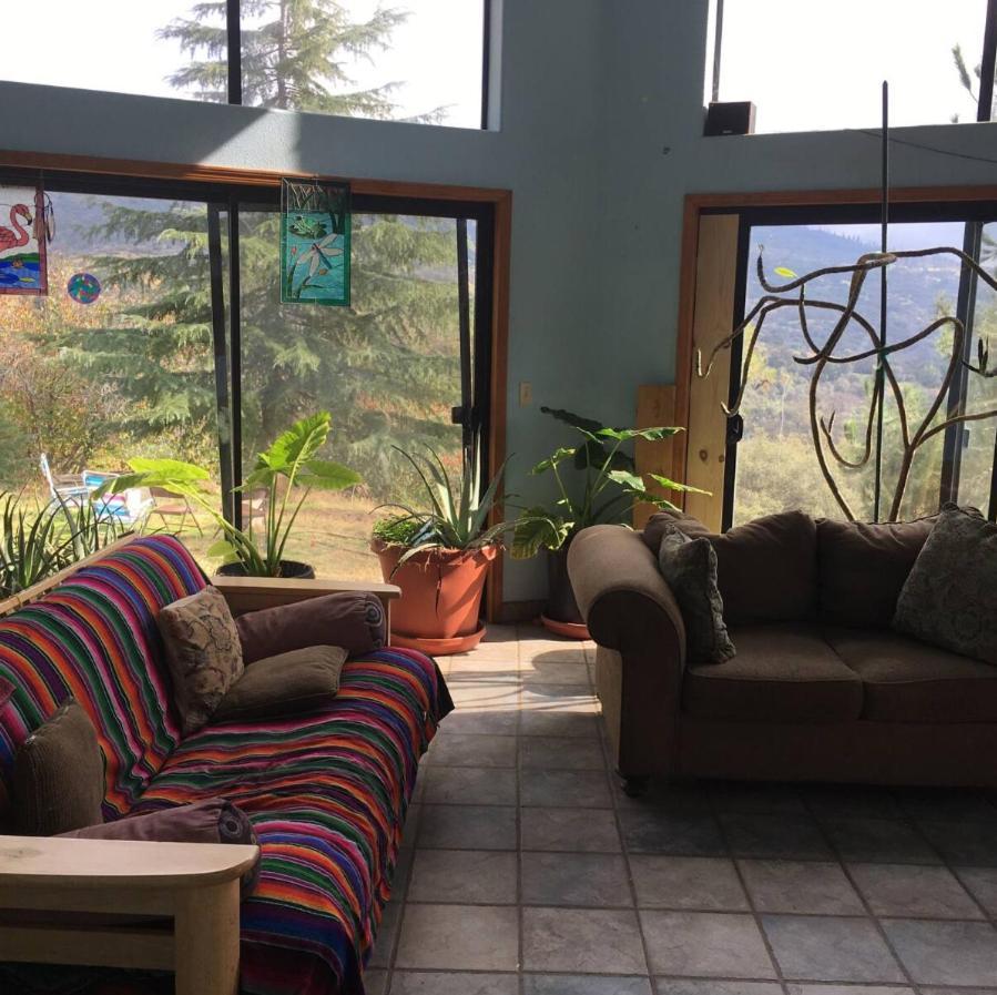 Sequoia Forest Retreat Badger Exterior foto